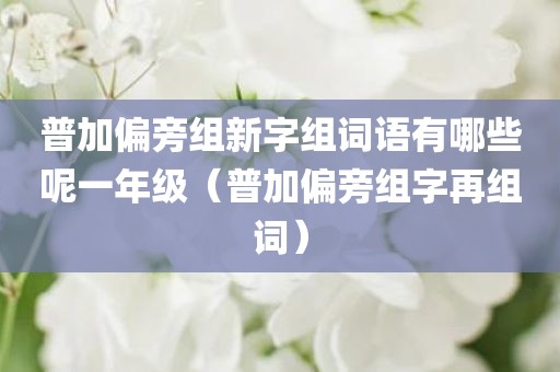 普加偏旁组新字组词语有哪些呢一年级（普加偏旁组字再组词）