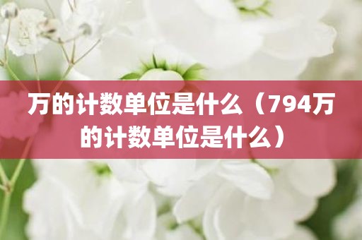 万的计数单位是什么（794万的计数单位是什么）