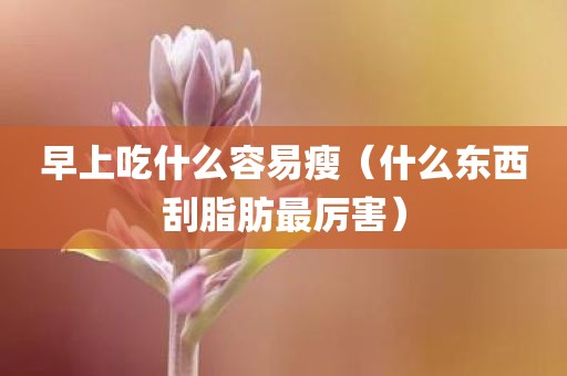 早上吃什么容易瘦（什么东西刮脂肪最厉害）