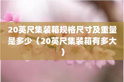 20英尺集装箱规格尺寸及重量是多少(20英尺集装箱有多大) - 图小雯知识