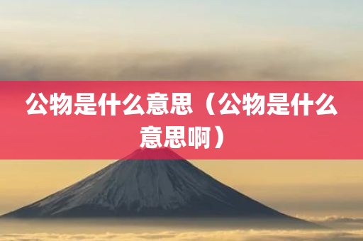公物是什么意思（公物是什么意思啊）