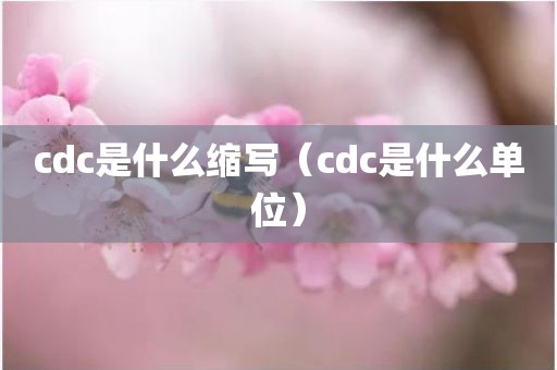 cdc是什么缩写（cdc是什么单位）