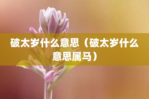 破太岁什么意思（破太岁什么意思属马）