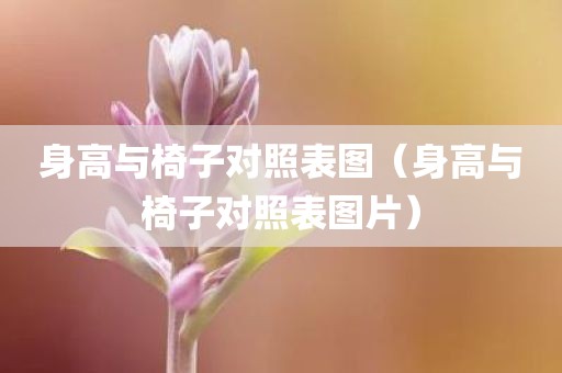 身高与椅子对照表图（身高与椅子对照表图片）