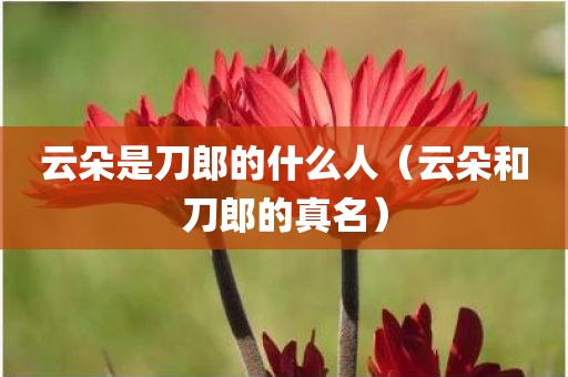 云朵是刀郎的什么人（云朵和刀郎的真名）