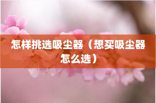 怎样挑选吸尘器（想买吸尘器怎么选）