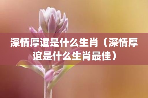 深情厚谊是什么生肖（深情厚谊是什么生肖最佳）