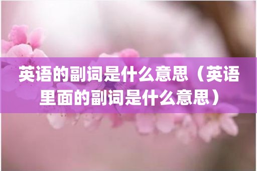 英语的副词是什么意思（英语里面的副词是什么意思）