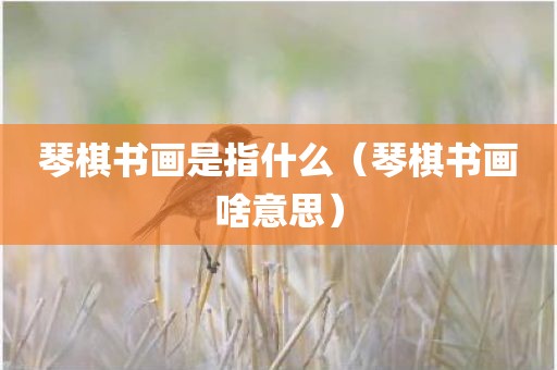 琴棋书画是指什么（琴棋书画啥意思）