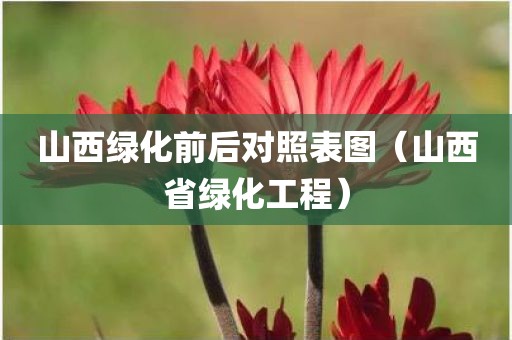 山西绿化前后对照表图（山西省绿化工程）