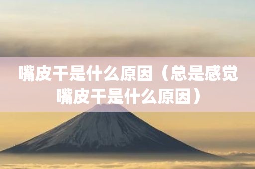 嘴皮干是什么原因（总是感觉嘴皮干是什么原因）