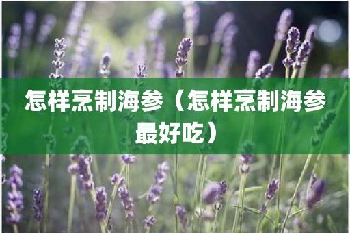 怎样烹制海参（怎样烹制海参最好吃）