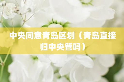 中央同意青岛区划（青岛直接归中央管吗）