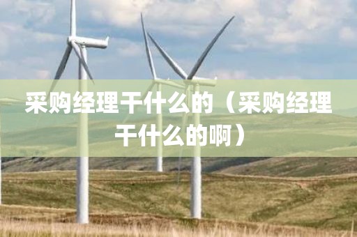 采购经理干什么的（采购经理干什么的啊）
