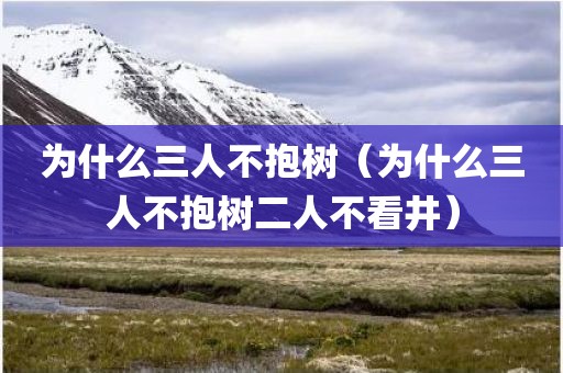 为什么三人不抱树（为什么三人不抱树二人不看井）