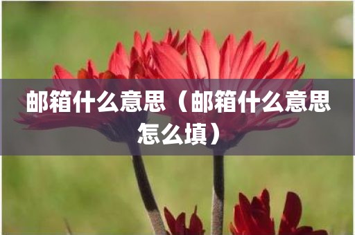 邮箱什么意思（邮箱什么意思怎么填）