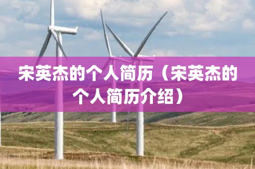 宋英杰的个人简历（宋英杰的个人简历介绍）