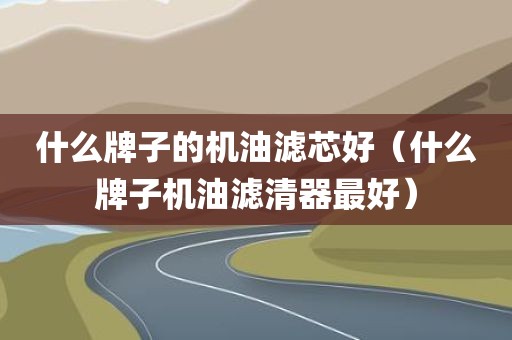 什么牌子的机油滤芯好（什么牌子机油滤清器最好）