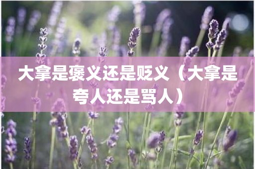 大拿是褒义还是贬义（大拿是夸人还是骂人）