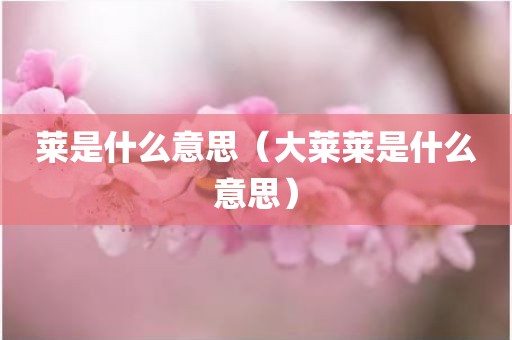 莱是什么意思（大莱莱是什么意思）