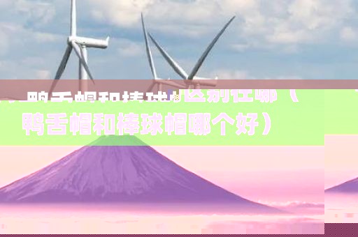 鸭舌帽和棒球帽的区别在哪（鸭舌帽和棒球帽哪个好）