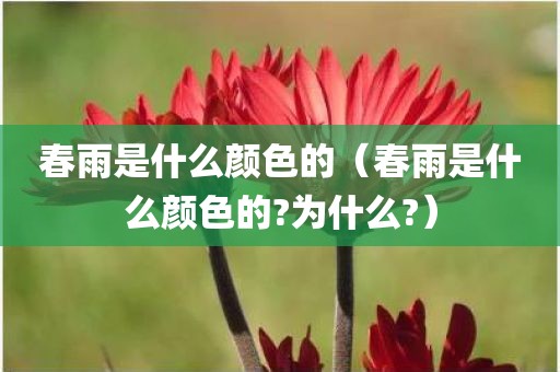 春雨是什么颜色的（春雨是什么颜色的?为什么?）