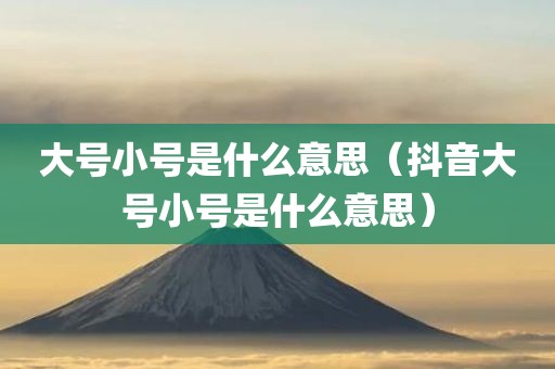 大号小号是什么意思（抖音大号小号是什么意思）