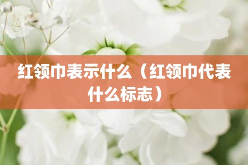 红领巾表示什么(红领巾代表什么标志)