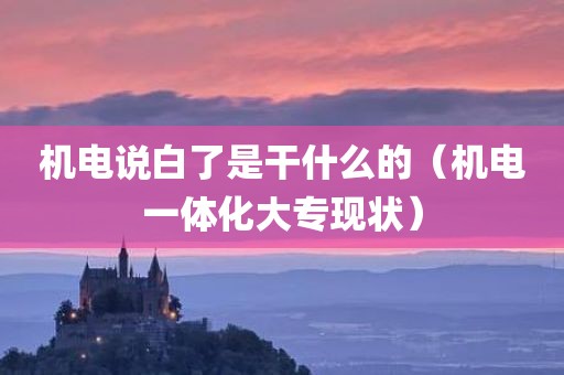 机电说白了是干什么的（机电一体化大专现状）