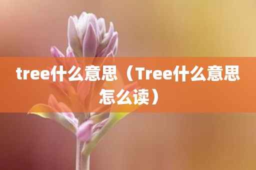 tree什么意思（Tree什么意思怎么读）