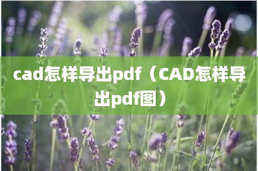cad怎样导出pdf（CAD怎样导出pdf图）