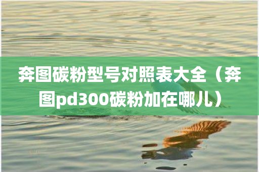奔图碳粉型号对照表大全(奔图pd300碳粉加在哪儿) 奔图碳粉型号对照表大全(奔图pd300碳粉加在哪儿)