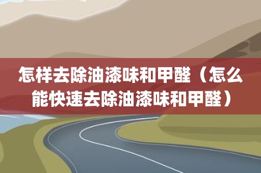 怎样去除油漆味和甲醛（怎么能快速去除油漆味和甲醛）