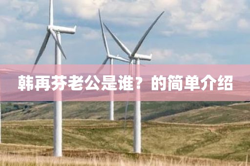 韩再芬老公是谁？的简单介绍