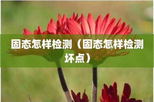 固态怎样检测（固态怎样检测坏点）