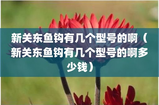 新关东鱼钩有几个型号的啊(新关东鱼钩有几个型号的啊多少钱)