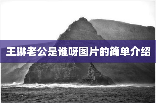 王琳老公是谁呀图片的简单介绍