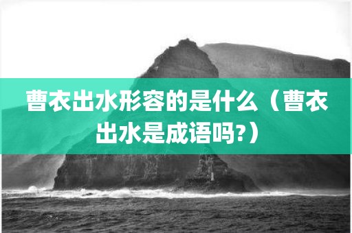 曹衣出水形容的是什么（曹衣出水是成语吗?）