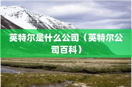 英特尔是什么公司(英特尔公司百科)