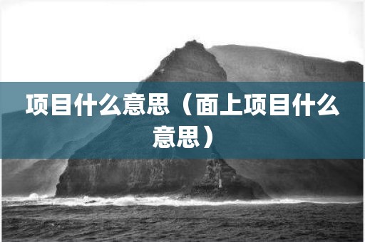 项目什么意思（面上项目什么意思）