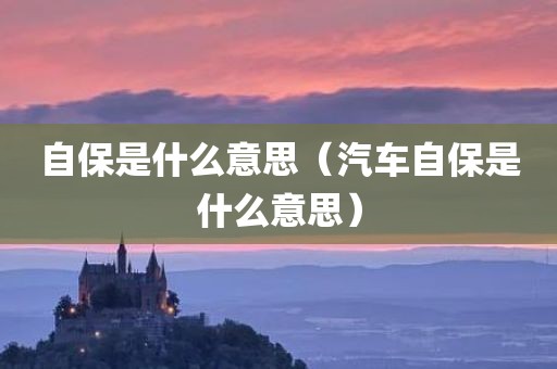 自保是什么意思（汽车自保是什么意思）