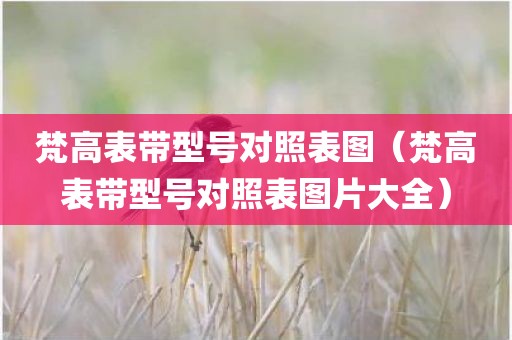 梵高表带型号对照表图（梵高表带型号对照表图片大全）