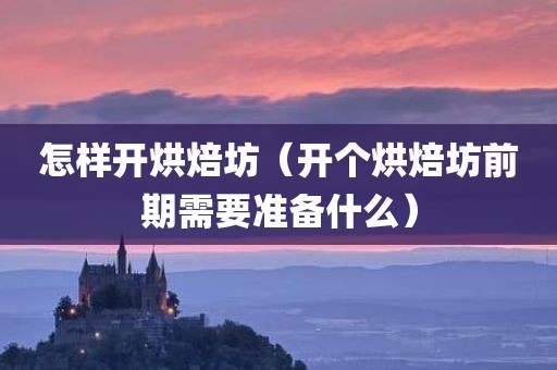 怎样开烘焙坊（开个烘焙坊前期需要准备什么）
