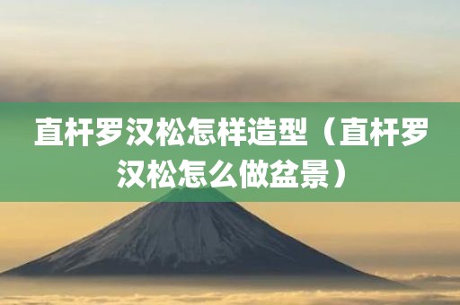 直杆罗汉松怎样造型（直杆罗汉松怎么做盆景）