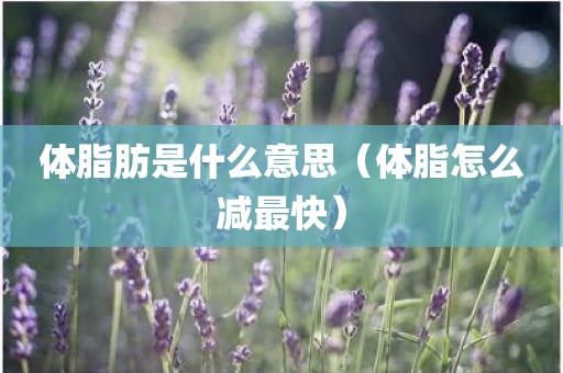 体脂肪是什么意思（体脂怎么减最快）