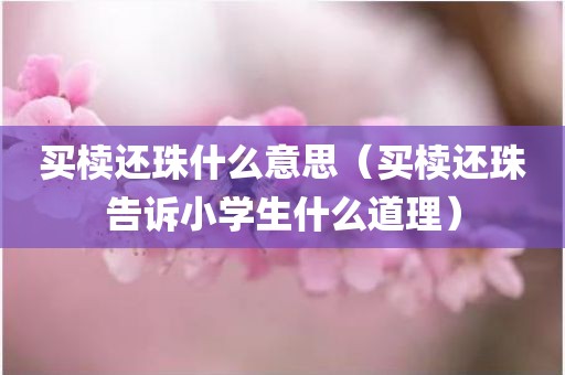 买椟还珠什么意思（买椟还珠告诉小学生什么道理）