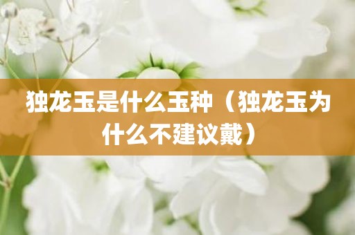 独龙玉是什么玉种（独龙玉为什么不建议戴）