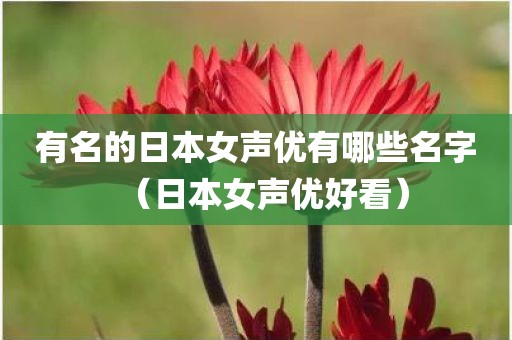 有名的日本女声优有哪些名字（日本女声优好看）