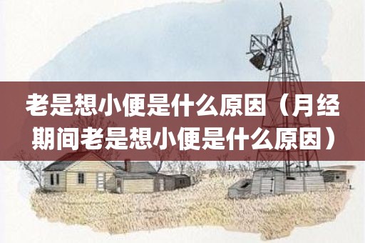 老是想小便是什么原因（月经期间老是想小便是什么原因）