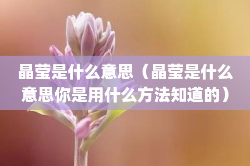 晶莹是什么意思（晶莹是什么意思你是用什么方法知道的）